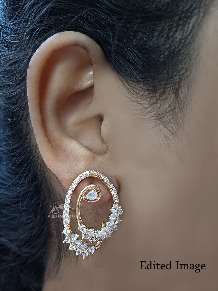 Dazzling Earrings